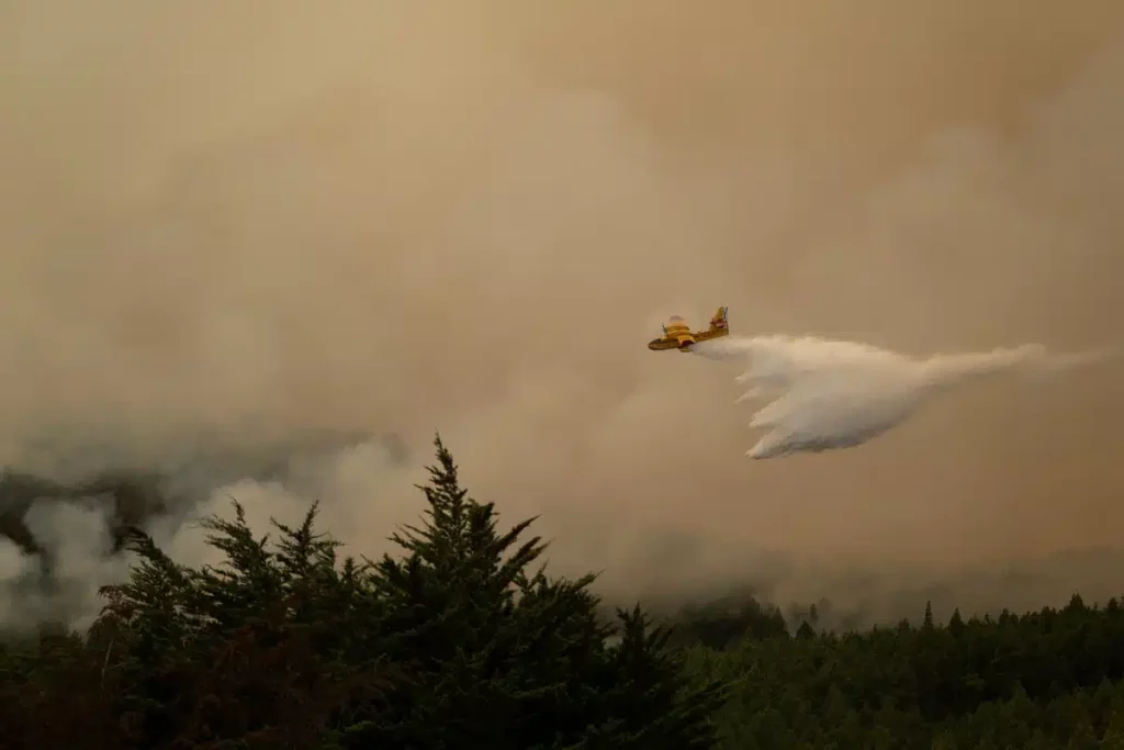 Waldbrand auf Teneriffa unter Kontrolle, verbleibende "heiße Flecken" im Norden.