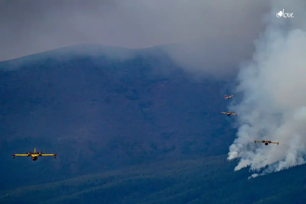 Feuer auf Teneriffa: Die Flammen erreichen den Nationalpark El Teide.