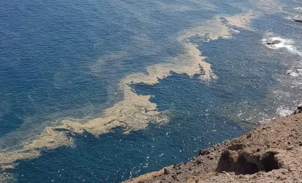 Erste Strandsperrungen auf Teneriffa aufgrund von Mikroalgen.