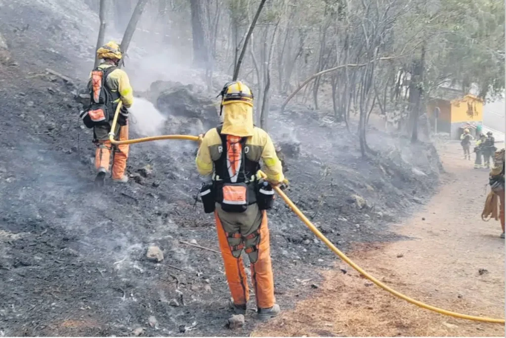 Spanische Regierung erklärt Teneriffa nach dem Brand zum Katastrophengebiet.