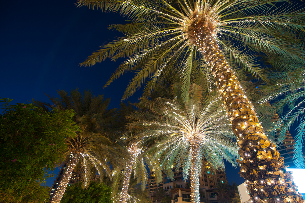 Eine Stadt auf den Kanarischen Inseln in den Top 15 Weihnachtszielen.